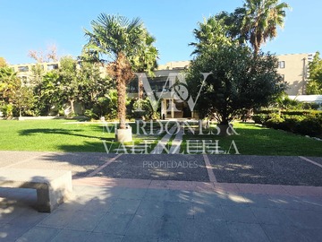 Imagen 20