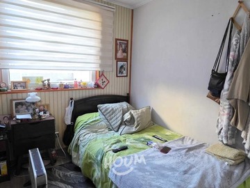 Imagen 11