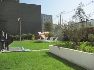 Imagen 12
