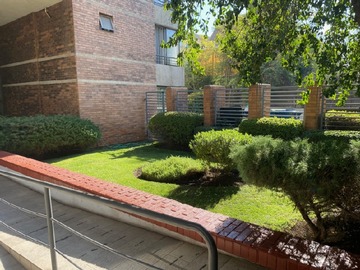 Imagen 19