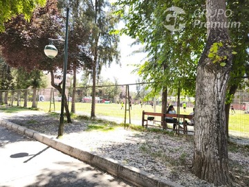 Imagen 24