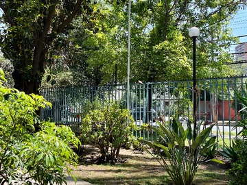 Imagen 17