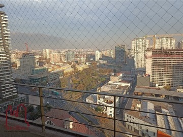 Imagen 11