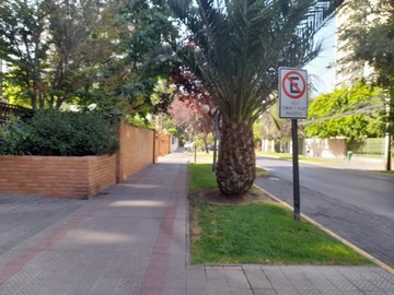 Imagen 11