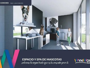 Imagen 6