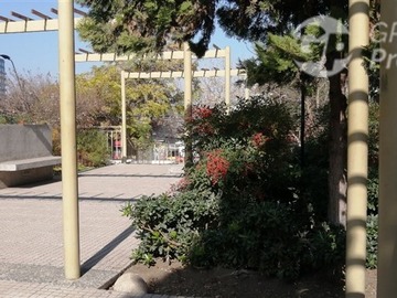 Imagen 27