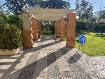 Imagen 23