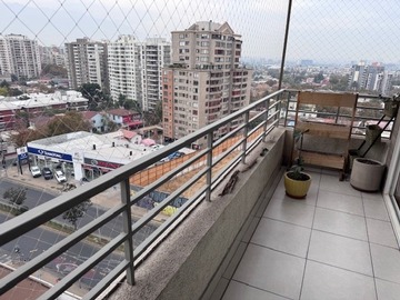 Imagen 5