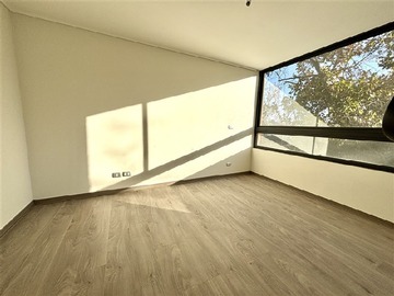 Imagen 11