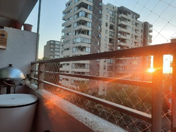 Imagen 6