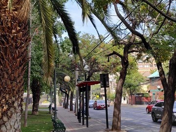 Imagen 8