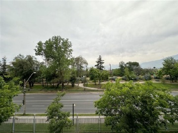 Imagen 20
