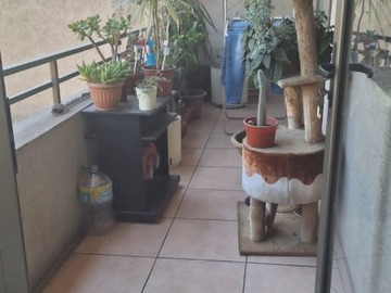 Imagen 9