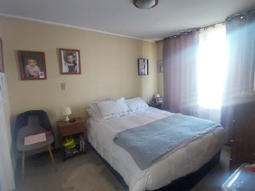 Imagen 5