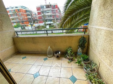Imagen 6