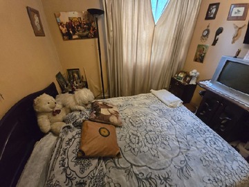 Imagen 12