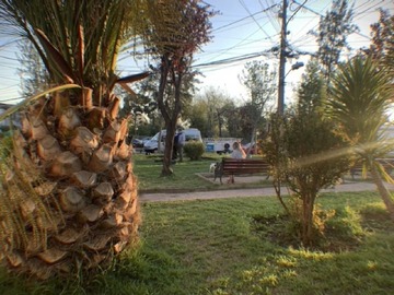 Imagen 4