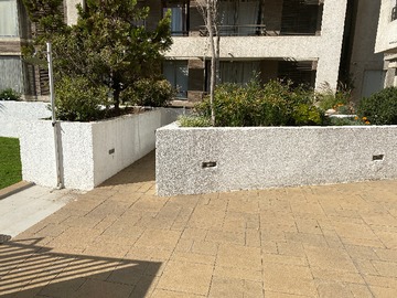 Imagen 11