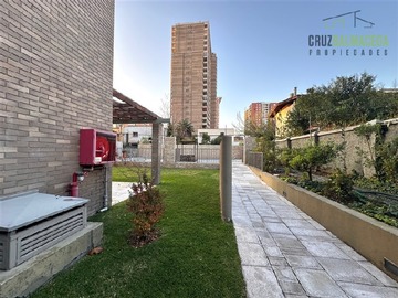 Imagen 11