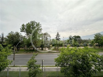 Imagen 6