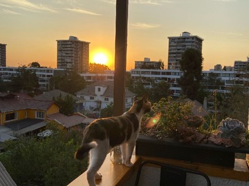 Terraza 3 otra vista