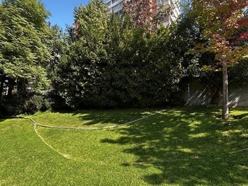 Imagen 19