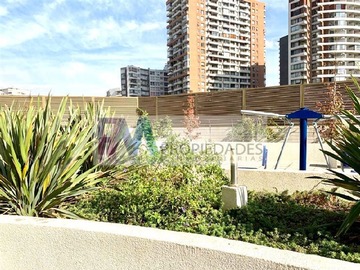 Imagen 13