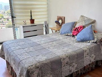Imagen 7