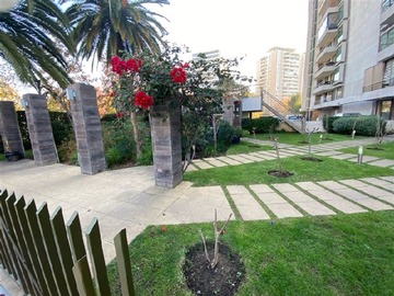 Imagen 21