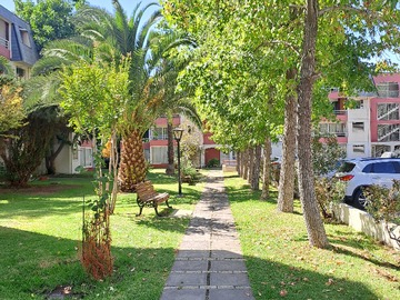 Imagen 18