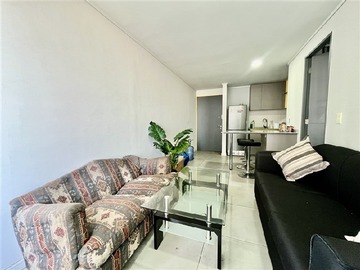 Imagen 6