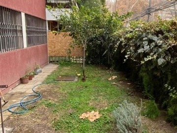 Imagen 13