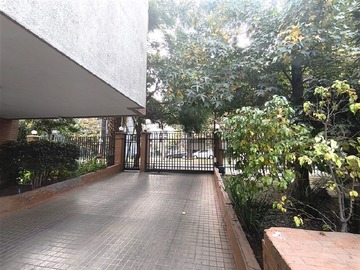 Imagen 12