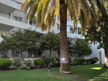 Imagen 20