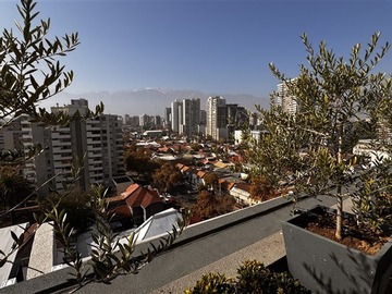 Imagen 23