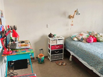 Imagen 11