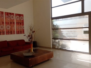 Imagen 26