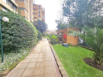 Imagen 23