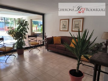 Imagen 11