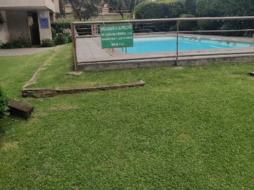 Imagen 19