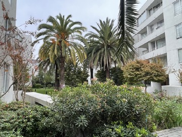 Venta / Departamento / Ñuñoa