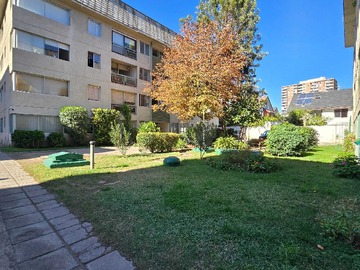 Imagen 23