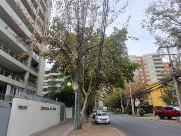 Venta / Departamento / Ñuñoa