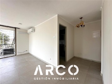 Imagen 5