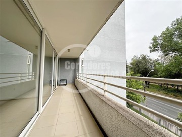 Imagen 5