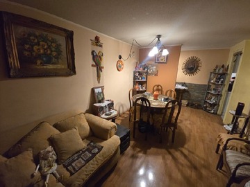 Imagen 5