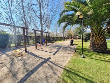 Imagen 5