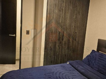 Imagen 8