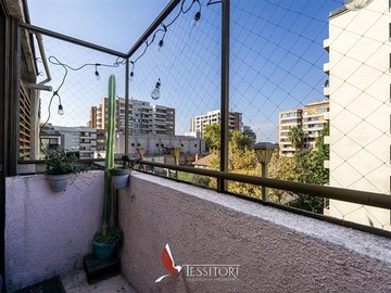 Imagen 7