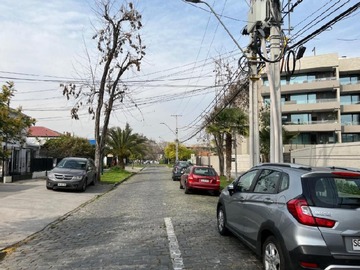 Imagen 8